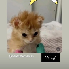 @bashcash - flatline w/@rocstarpatty x @quesadillas