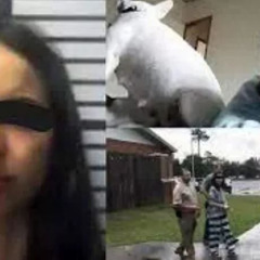 Denise Frazier Viral Dog Video Full Watch online