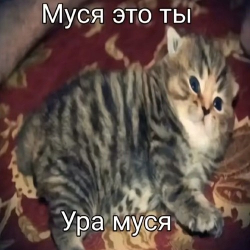 Разбей мое сердце - abstractxx