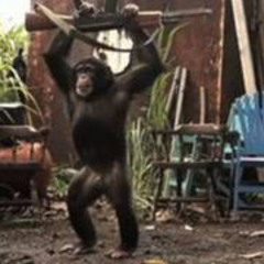 si me pego pego el ak