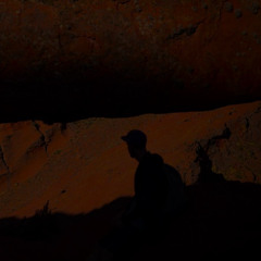 Introspectiva