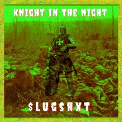 KNIGHT IN THE NIGHT(Prod.HD$)