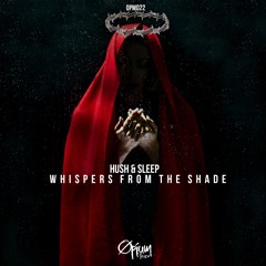 Hush & Sleep - Whispers From The Shade (Original Mix)
