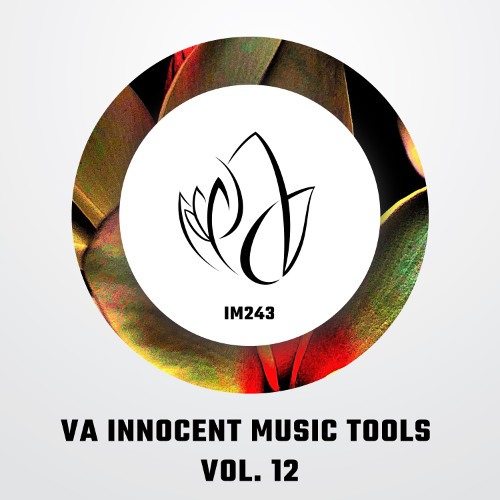 IM243 - Various Artists - INNOCENT MUSIC TOOLS VOL. 12