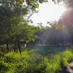 Miley Cyrus - When I look at you- piano