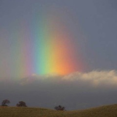 Adagio for Strings (2024)