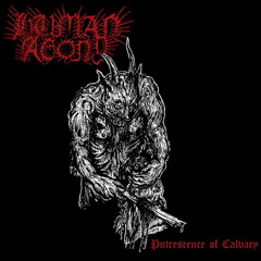 Stream Varg Fjerne a Tornet by Branikald | Listen online for free