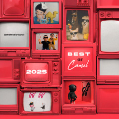 JayCamel & NIF (RO) - Mucha Botella