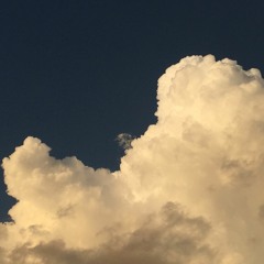 On The Back Of A Bird 130222