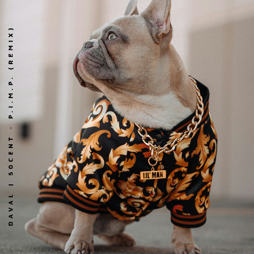 P.I.M.P. - 50 cent (Daval Remix)