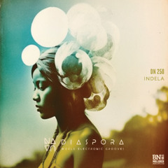 World Electronic Grooves DIASPORA #250 - InDeLa