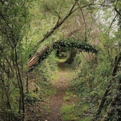 Party Like a Rockstar       [{Prod. oscar4400xy]}