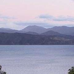 @ Feijoa Booth 15/11/25