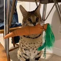 Money Longer (Bonbei Remix)