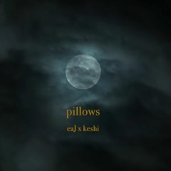 eaJ x keshi - pillows