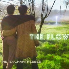 The Flow @ Ecstatic Dance Tregor - Bretagne