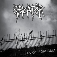 1. 1312..Track from the New Split LP