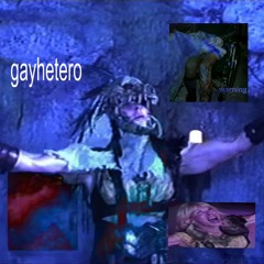gayhetero
