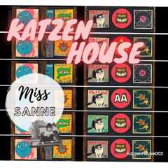 ...Miss Sanne - Katzen House Set - Klappe die Zweite - 18.07.2025