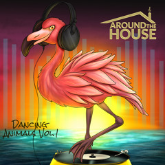 Flamingo Comes Home