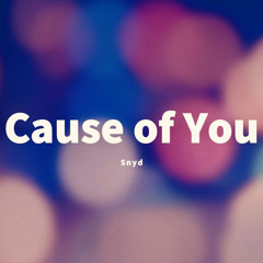 Snyd - Cause of You