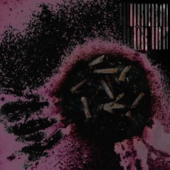 Hausverboti - Static Needle (Nacasat remix)