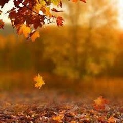 Märcø Märtinz R - risveglio d'autunno set  #07