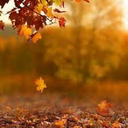 Märcø Märtinz R - risveglio d'autunno set  #07