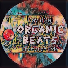 DavidGal_OrganicBeatsFestival2024_EndstationErde.wav