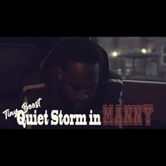 Tiny Boost - Quiet Storm In Manny Freestyle