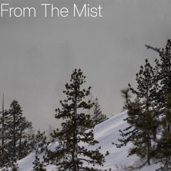 From The Mist
