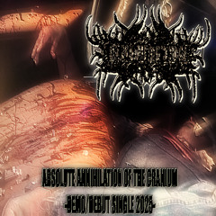 ABSOLUTE ANNIHILATION OF THE CRANIUM // DEMO 2025