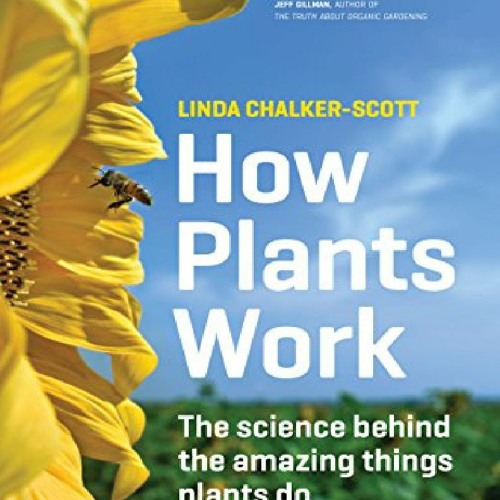 Stream episode download pdf How Plants Work The Science Behind the