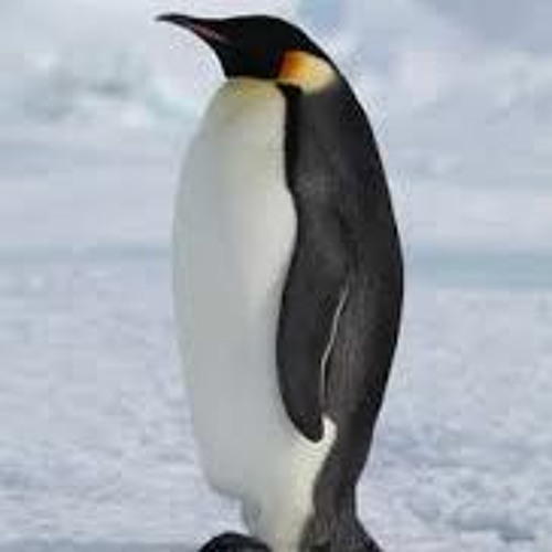 Dubtechno mix set 2012