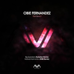 Obie Fernandez - Natural Harmonics (KNBI Remix)