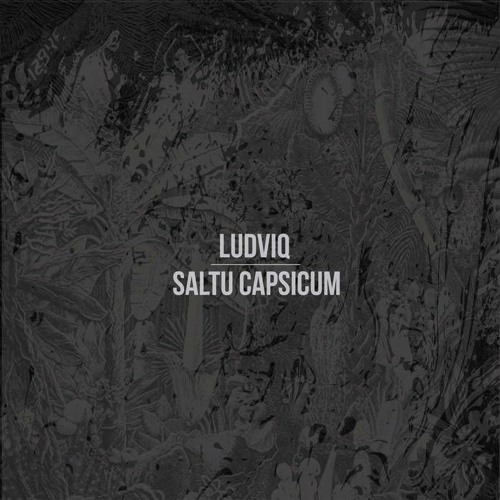 Ludviq - Udhëtim