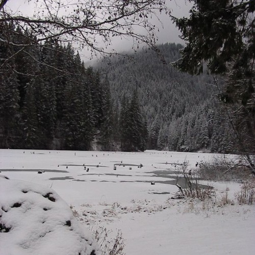 Dj RAUL - live Open Party via LACU ROȘU / 03.03.2025