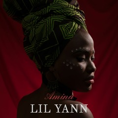 Lil Yann - Amina