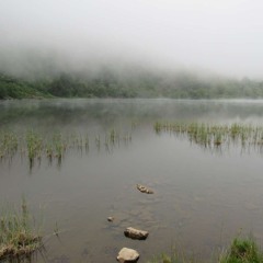 Paresys Field Recording