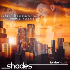 Rory Hoy & Countertop Hero Feat. Remedy Kincaid - Shades (PREVIEW)