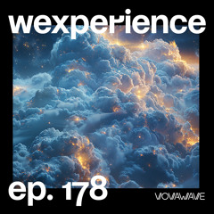 WExperience #178