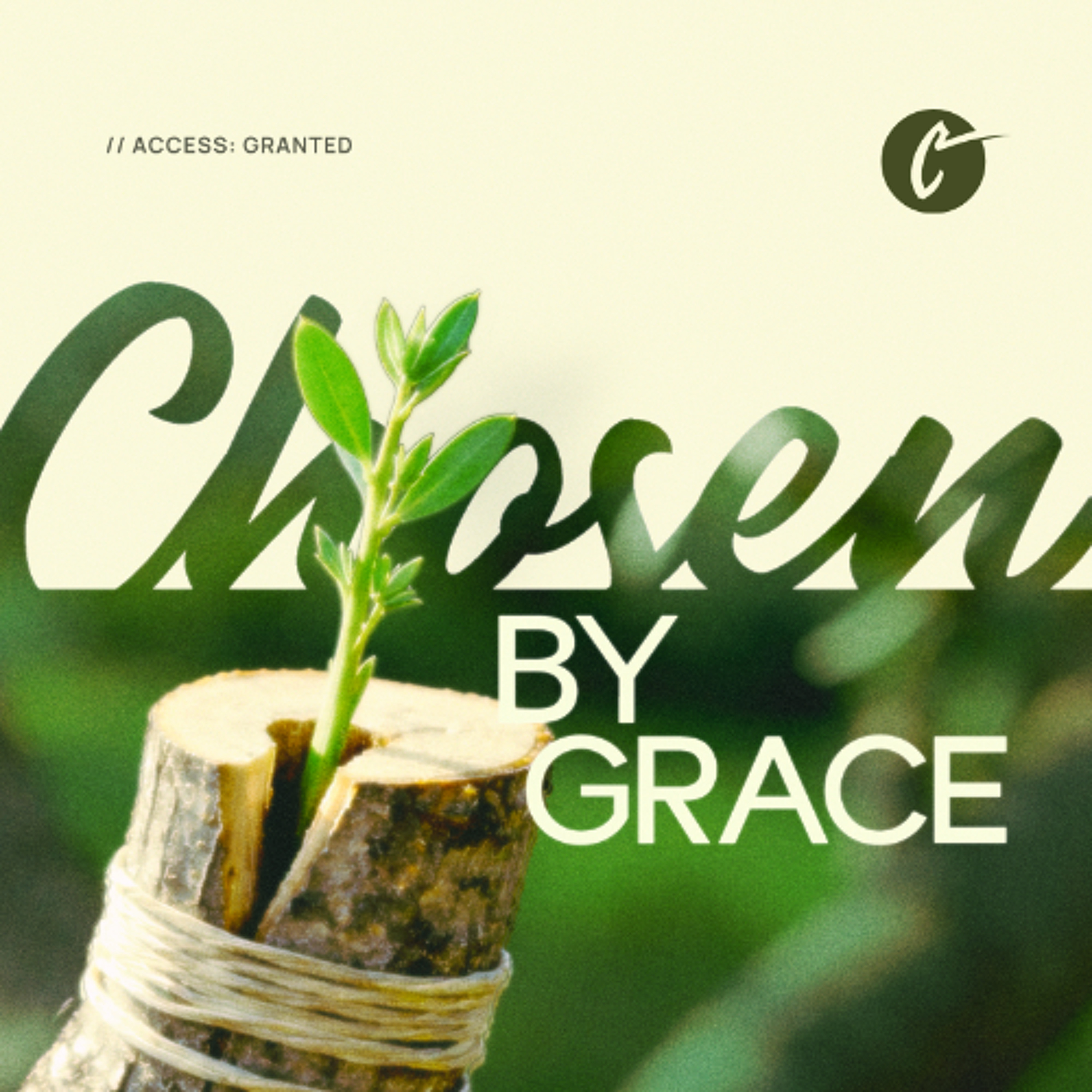 MS: Chosen by Grace | Romans 9:1-13 | Ryan Beardsley