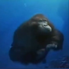 The Deep Sea Funk, Tango And Dance