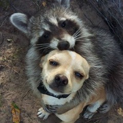 fuck,, i Just want to download you