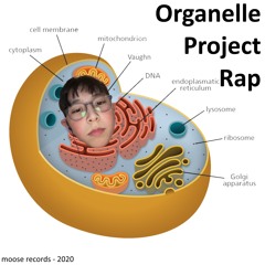 Organelle Project Rap (prod. by heydium)