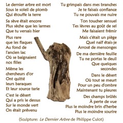 Le Dernier Arbre