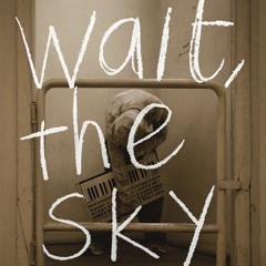 Pluko - Falling (wait the sky remix)