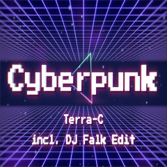 Cyberpunk (DJ Falk Maxi Edit)