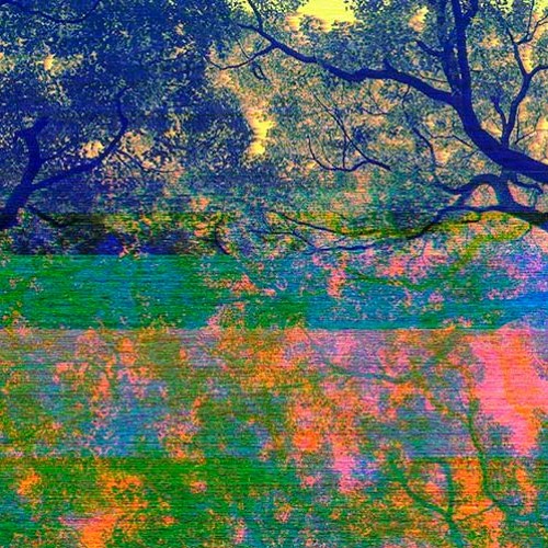 Lsd simulation cleverhohpa