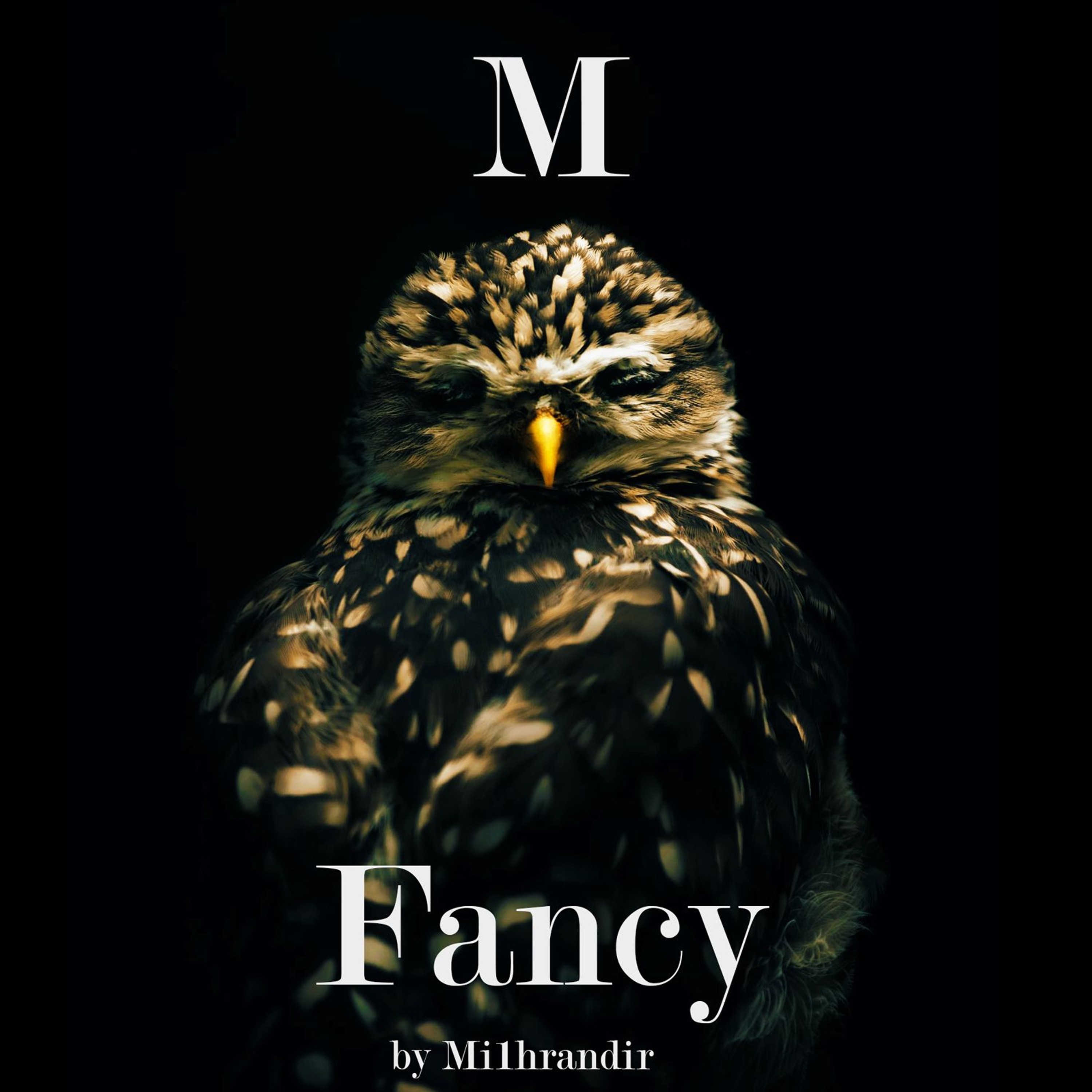 Track cover